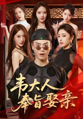 韦大人奉旨娶亲 2026 短剧 海报