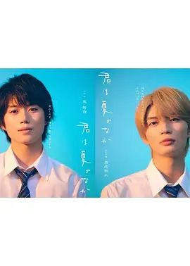 你在夏日之中 2026 电视剧 海报