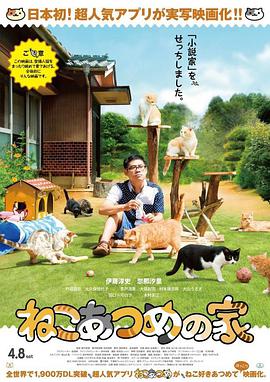 猫咪后院之家 2017 电影 海报