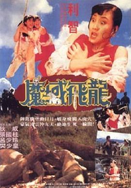 魔域飞龙 1991 电影 海报